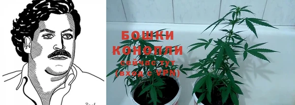 крисы Аркадак