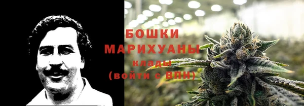 гидра Армянск