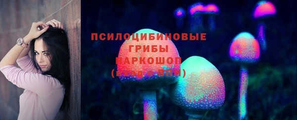 крисы Аркадак