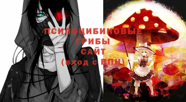 крисы Аркадак