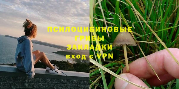 тгк Арсеньев