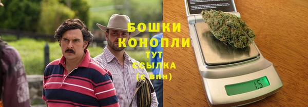 гидра Армянск
