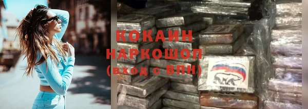 крисы Аркадак