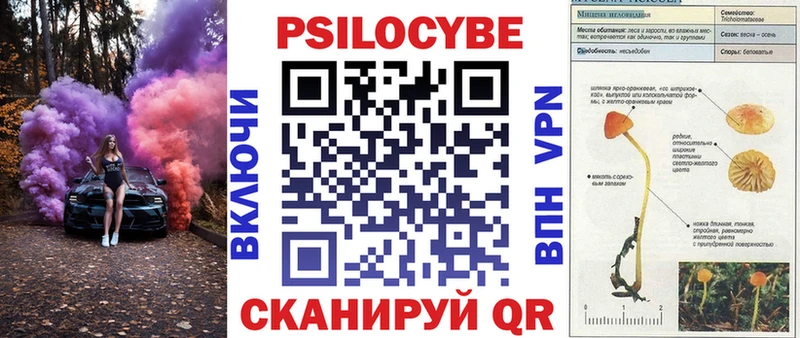 Галлюциногенные грибы Psilocybe  Купить где  Алупка 